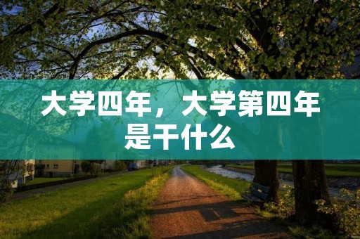 大学四年,大学第四年是干什么