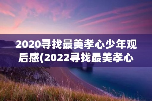 2020寻找最美孝心少年观后感(2022寻找最美孝心少年观后感8篇)