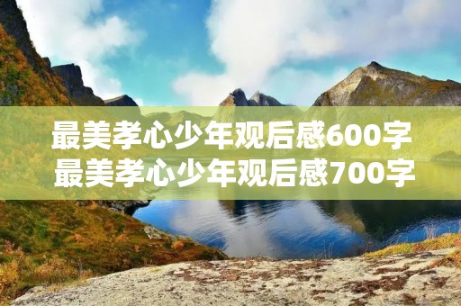 最美孝心少年观后感600字 最美孝心少年观后感700字优秀范文【5篇】