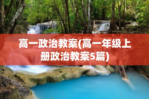 高一政治教案(高一年级上册政治教案5篇)