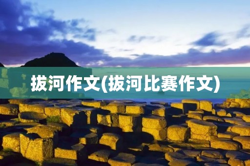 拔河作文(拔河比赛作文)