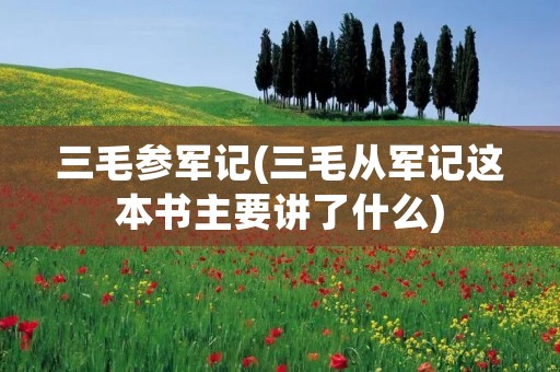 三毛参军记(三毛从军记这本书主要讲了什么)
