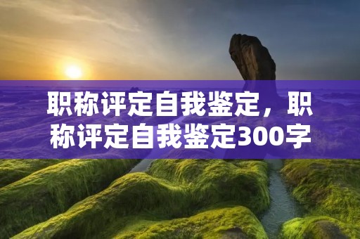 职称评定自我鉴定,职称评定自我鉴定300字以上
