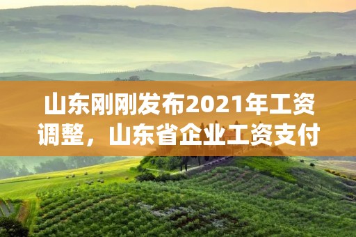 山东刚刚发布2021年工资调整，山东省企业工资支付规定(2021修订)