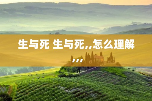 生与死 生与死,,怎么理解 ,,,
