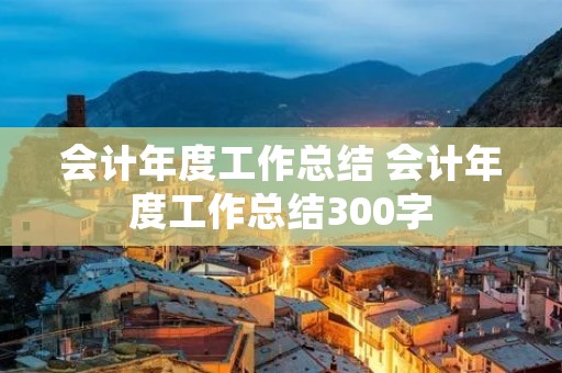 会计年度工作总结 会计年度工作总结300字