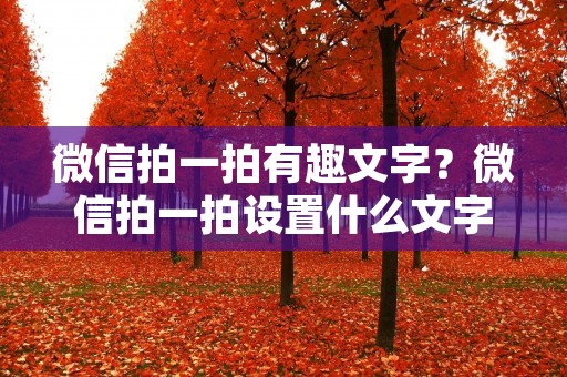 微信拍一拍有趣文字？微信拍一拍设置什么文字好玩