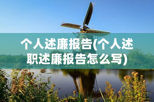 个人述廉报告(个人述职述廉报告怎么写)