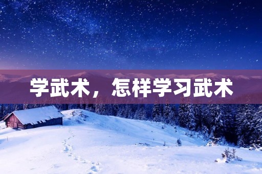 学武术，怎样学习武术