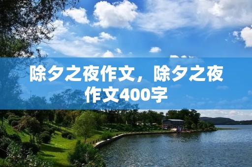 除夕之夜作文,除夕之夜作文400字