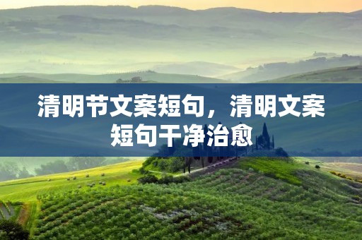 清明节文案短句,清明文案短句干净治愈