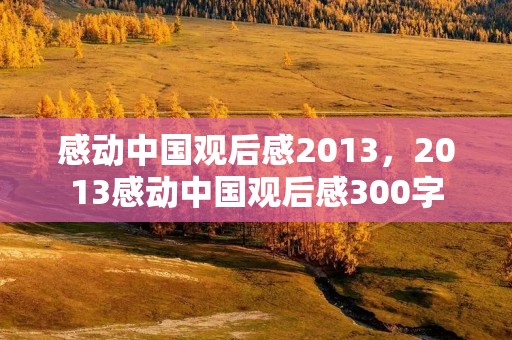 感动中国观后感2013,2013感动中国观后感300字 感动中国观后感2013,2013感动中国观后感300字