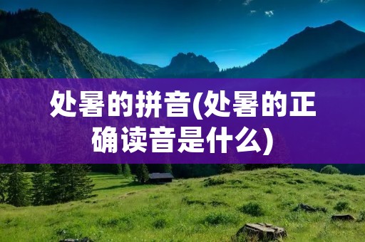 处暑的拼音(处暑的正确读音是什么)