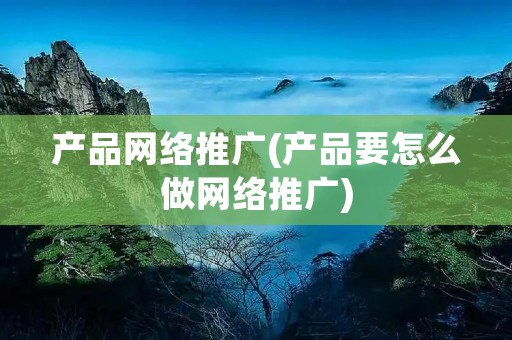 产品网络推广(产品要怎么做网络推广)