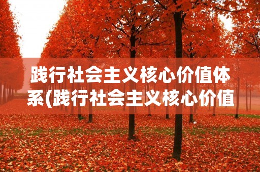 践行社会主义核心价值体系(践行社会主义核心价值观)