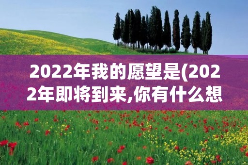 2022年我的愿望是(2022年即将到来,你有什么想实现的愿望)