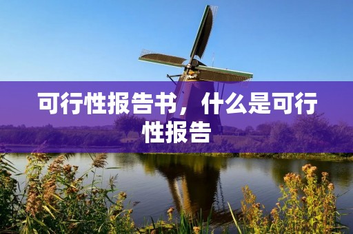 可行性报告书，什么是可行性报告