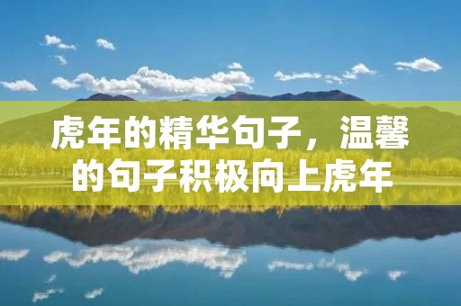 虎年的精华句子，温馨的句子积极向上虎年