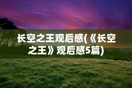 长空之王观后感(《长空之王》观后感5篇)