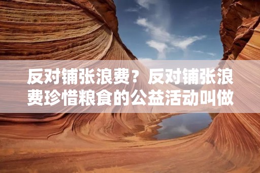 反对铺张浪费？反对铺张浪费珍惜粮食的公益活动叫做什么