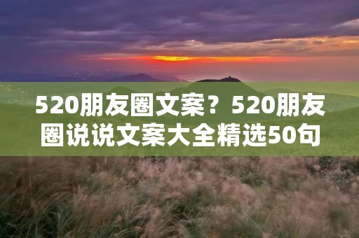 520朋友圈文案?520朋友圈说说文案大全精选50句