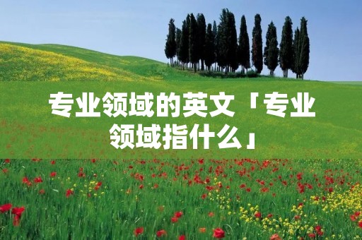 专业领域的英文「专业领域指什么」