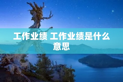 工作业绩 工作业绩是什么意思