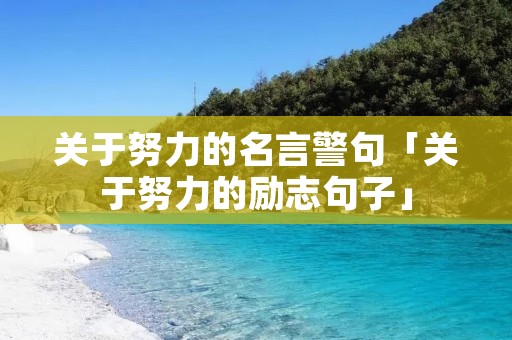 关于努力的名言警句「关于努力的励志句子」