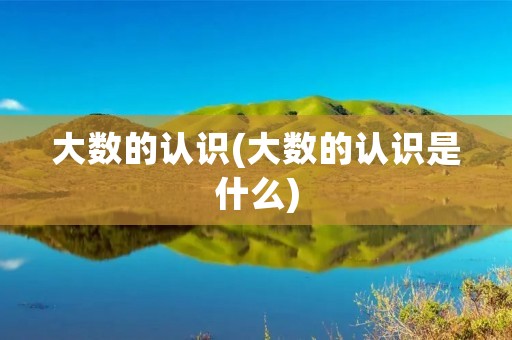 大数的认识(大数的认识是什么)