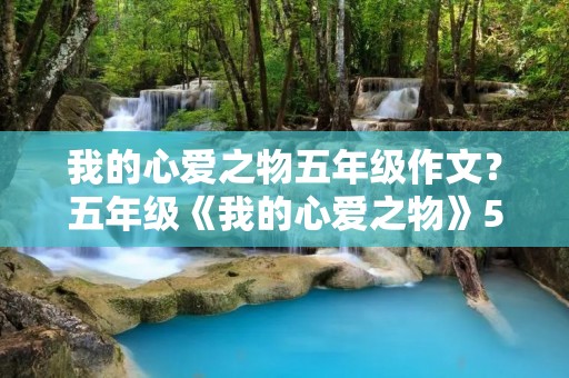 我的心爱之物五年级作文?五年级《我的心爱之物》500字作文10篇
