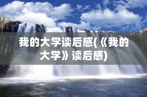 我的大学读后感(《我的大学》读后感)