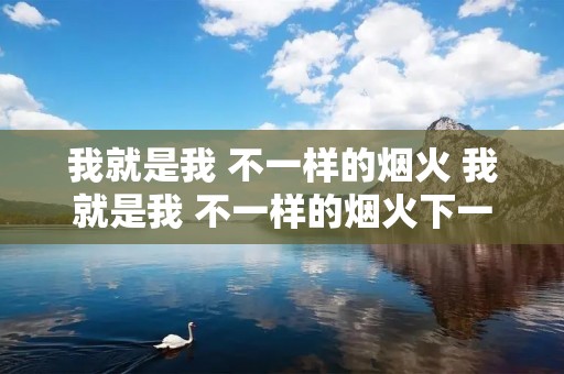 我就是我 不一样的烟火 我就是我 不一样的烟火下一句是什么