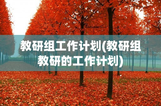 教研组工作计划(教研组教研的工作计划) 教研组工作计划(教研组教研的工作计划)