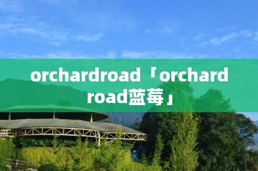 orchardroad「orchardroad蓝莓」