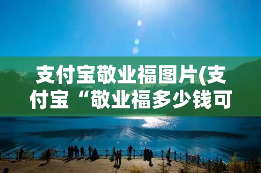 支付宝敬业福图片(支付宝“敬业福多少钱可以买到在哪里可以买到)