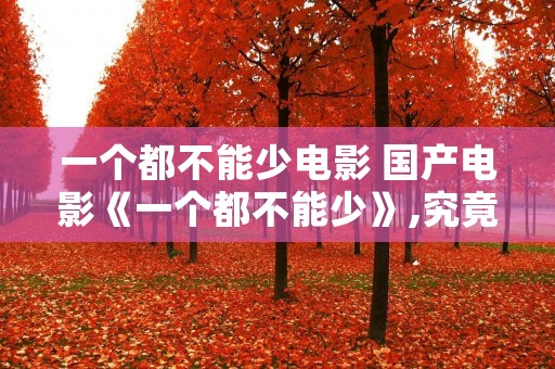 一个都不能少电影 国产电影《一个都不能少》,究竟是不是真实故事