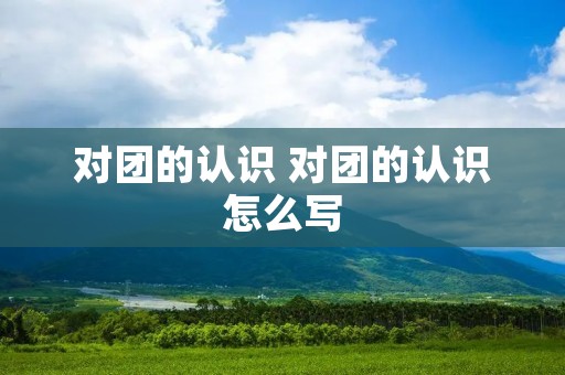 对团的认识 对团的认识怎么写