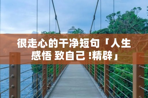 很走心的干净短句「人生感悟 致自己 !精辟」