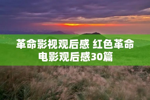 革命影视观后感 红色革命电影观后感30篇