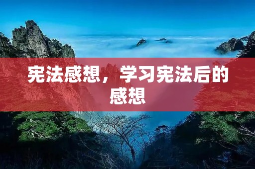 宪法感想,学习宪法后的感想