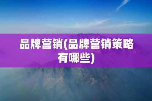 品牌营销(品牌营销策略有哪些)