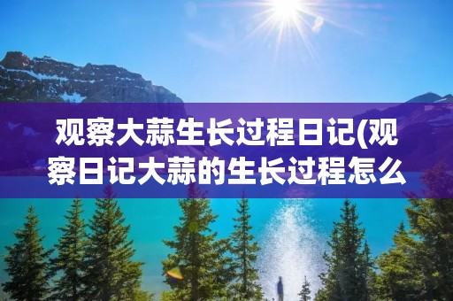 观察大蒜生长过程日记(观察日记大蒜的生长过程怎么写)
