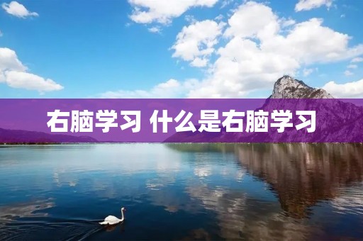 右脑学习 什么是右脑学习