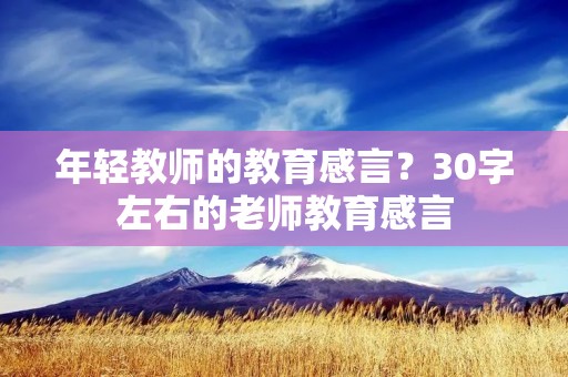 年轻教师的教育感言?30字左右的老师教育感言