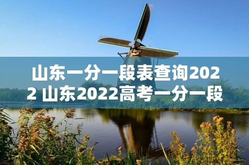 山东一分一段表查询2022 山东2022高考一分一段表