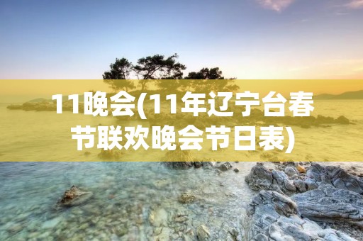 11晚会(11年辽宁台春节联欢晚会节日表)