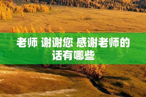 老师 谢谢您 感谢老师的话有哪些