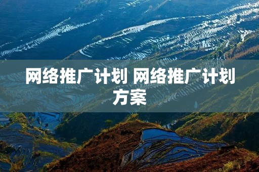 网络推广计划 网络推广计划方案