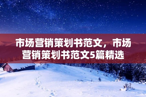 市场营销策划书范文,市场营销策划书范文5篇精选