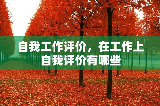 自我工作评价，在工作上自我评价有哪些